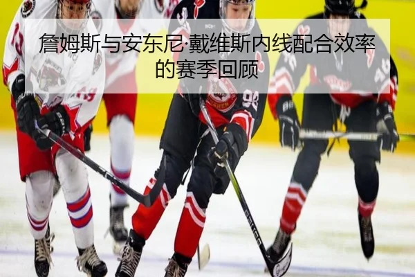 詹姆斯与安东尼·戴维斯内线配合效率的赛季回顾